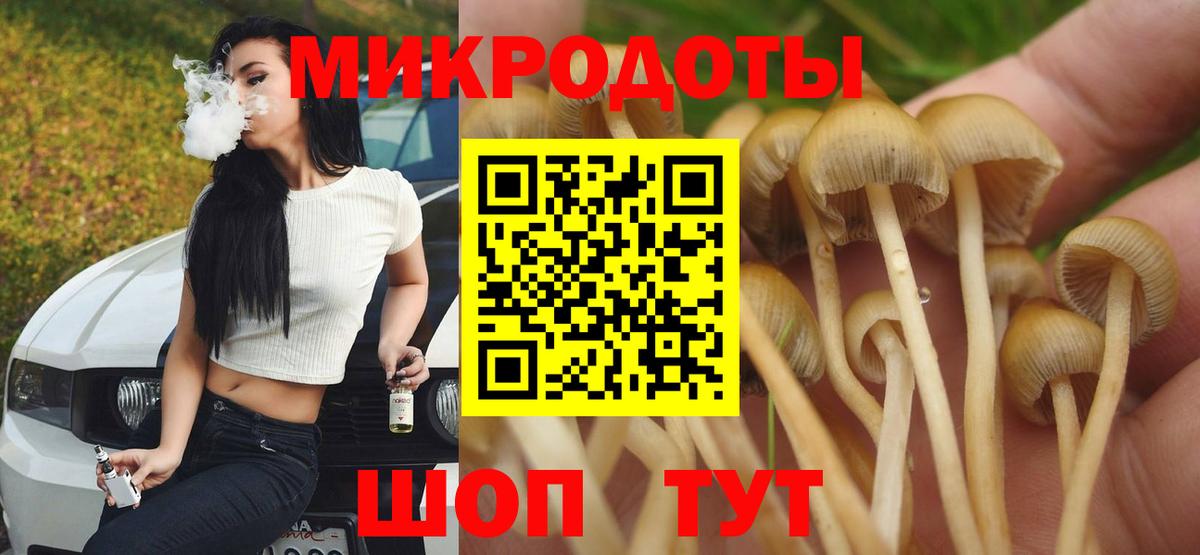 Псилоцибиновые грибы Magic Shrooms Кувандык