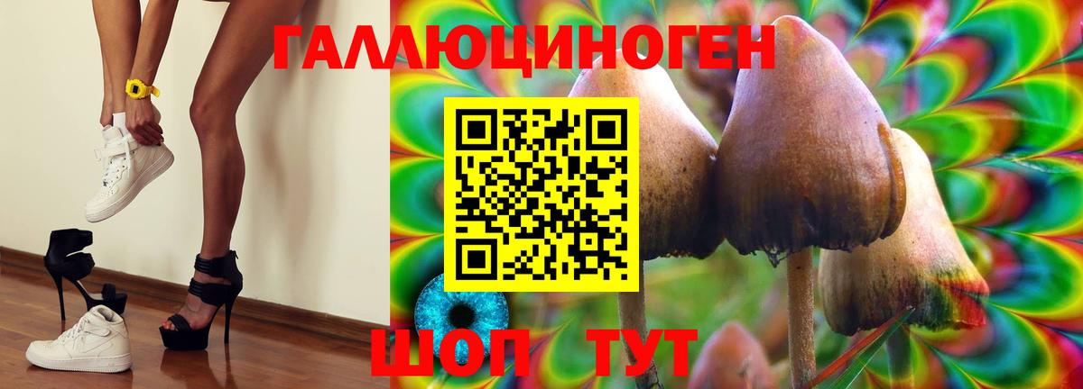 Кувандык  Галлюциногенные грибы MAGIC MUSHROOMS  Псилоцибиновые грибы Psilocybine cubensis  Вход с VPN 